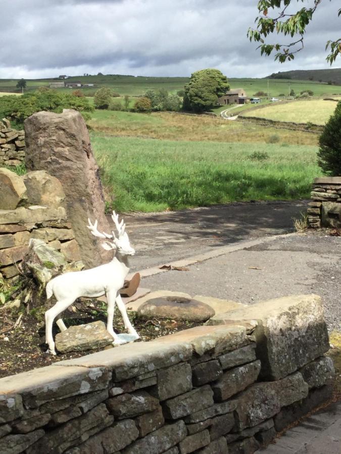 Cosy Rural Cottage Peak District, Pets Welcome Hollinsclough Exterior photo